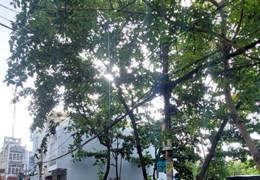 Ngộp bán căn 2MT sát Hồ Học Lãm, An Lạc, 85m2 - 2T, 4,4 tỷ