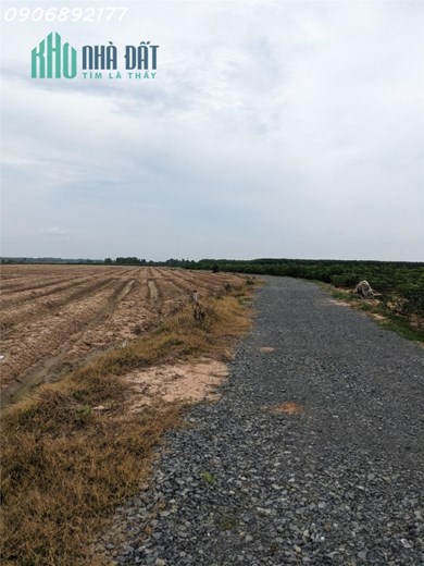 Đầu tư tiềm năng cho siêu phẩm đất vườn ngay tại Tây Ninh