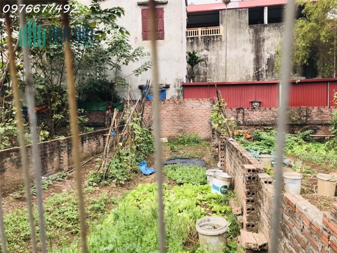 Đất xóm Ngoài-Uy Nỗ chạy thẳng ra chợ Tó giá chỉ 3 tỷ xíu xiu