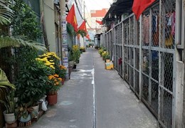 Sở Hữu Ngay Căn Nhà Đẹp Giá Mềm Tại quận Tân Bình, TPHCM