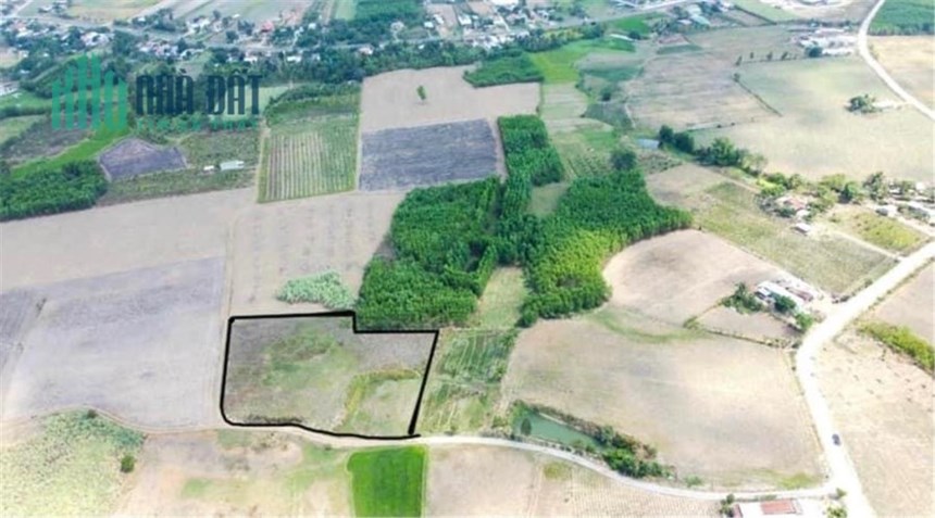 Cần bán 5700m2 đất trồng cây quy hoạch đất ở thuộc thôn Xóm Mới, xã Ninh Tây, Ninh Hoà