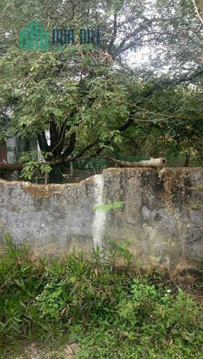 Bán đất 180m2 khu 10 - Hàng xóm Vincom Halongxanh giá đầu tư. Lh:0909711000