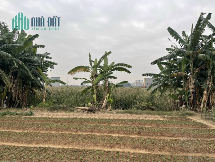 CT Cho Thuê 25000M  đất TMDV mặt  đường Liên Phường Nam Hải Hải An