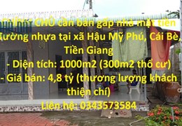 CHÍNH CHỦ cần bán gấp nhà mặt tiền đường nhựa tại xã Hậu Mỹ Phú, Cái Bè, Tiền Giang