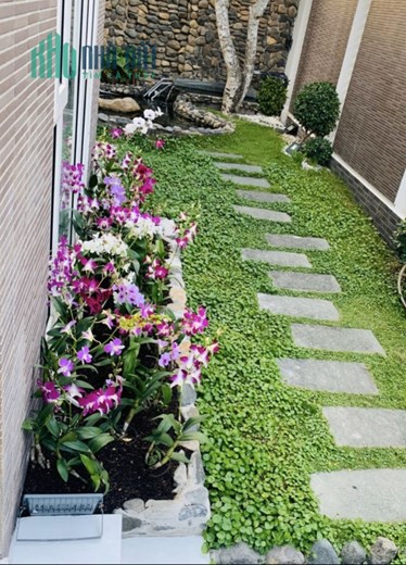 Chính chủ bán căn nhà biệt thự đẹp lung linh