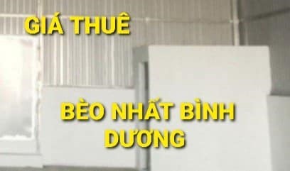 Xưởng Cho thuê 8,1 x 25 = 12tr/t ĩnh Tân Tân Uyên Bình Dương