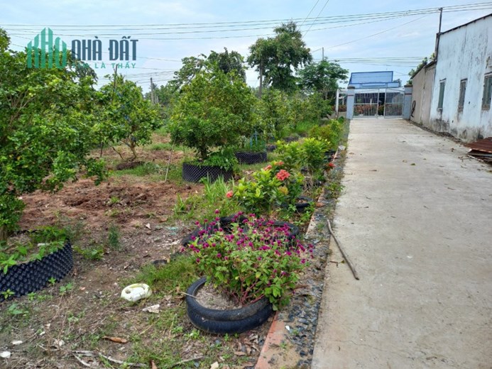Bán đất xã Phước Hậu, huyện Long Hồ, tỉnh Vĩnh Long.