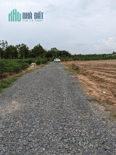 HẠ GIÁ LÔ ĐẤT 10*98 NỞ HẬU SIÊU ĐẸP CHỈ 470TR SHR