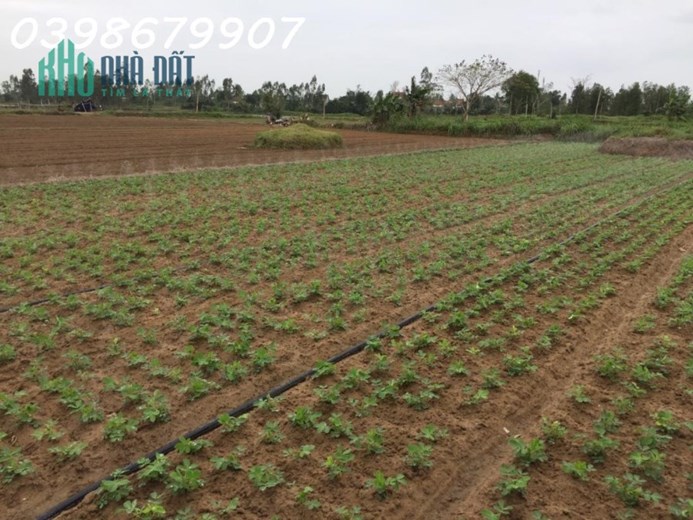 2900M2 ĐẤT VÀNG TÂY NINH - SỔ HỒNG RIÊNG - GIÁ CỰC ƯU ĐÃI CHỈ 3XX NGHÌN/M2