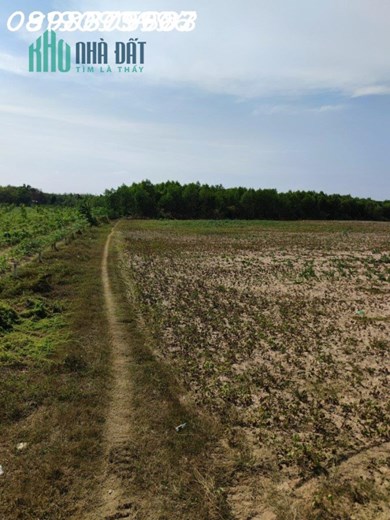 BĐS giá hời chỉ với 360 triệu - sở hữu ngay 1000m2 đất vườn sẵn sổ sẵn đường khu trung tâm