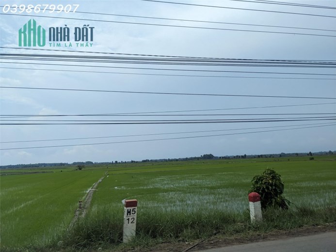 BĐS giá hời chỉ với 360 triệu - sở hữu ngay 1000m2 đất vườn sẵn sổ sẵn đường khu trung tâm