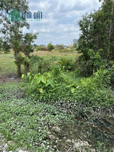 Bán Lô đất phường Bình Chiểu , Thành phố Thủ Đức
- Diện tích: 42x80m