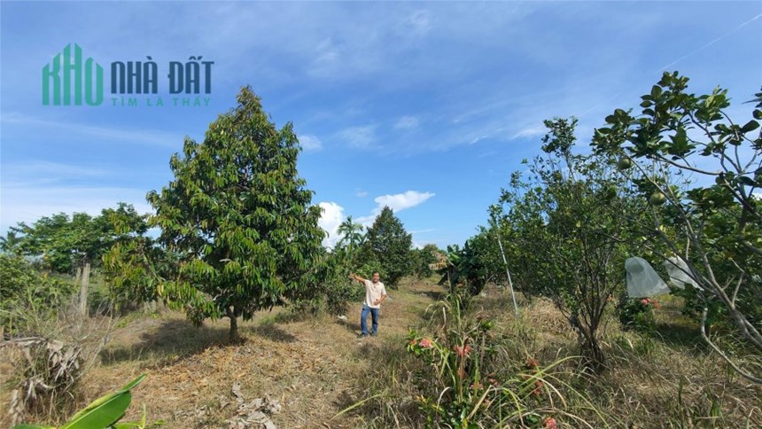 Bất ngờ với tiềm năng đầu tư tại Khu Nghĩ Dưỡng Phường Long Thành Bắc - Vị trí đắc địa gần trung