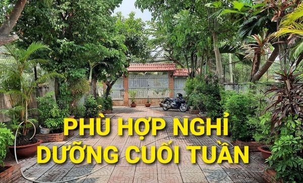 420m2 Hà Duy Phiên Bình Mỹ Củ Chi TPHCM có 6 tỷ x