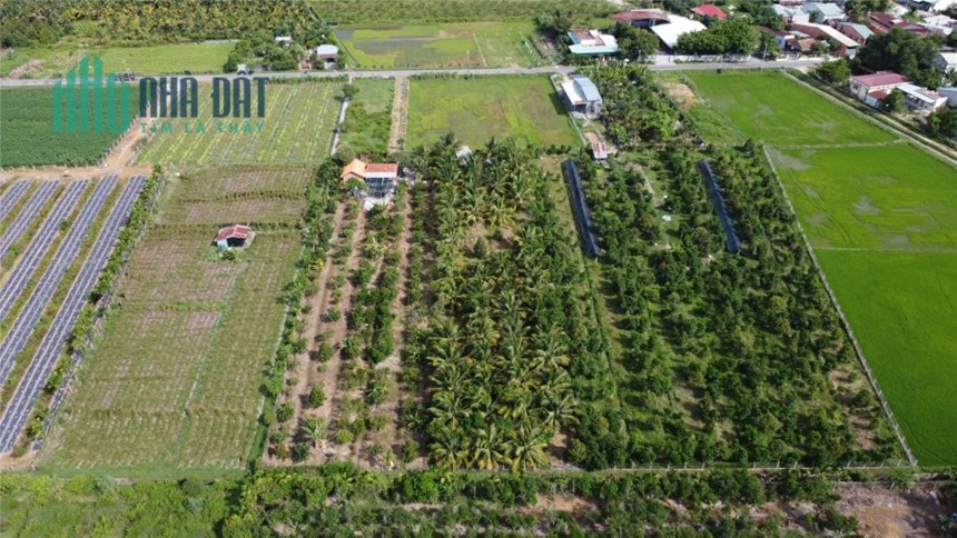 Bất ngờ với tiềm năng đầu tư tại Khu Nghĩ Dưỡng Phường Long Thành Bắc - Vị trí đắc địa gần trung