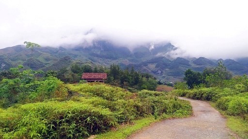 Do có việc đột xuất nên không tiếp tục thực hiện được dự án Homestay, nay nhượng lại cho bạn nào