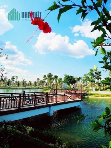 ĐẦU TƯ - SINH LỜI - Chính Chủ Bán Gấp Lô Đất Khu Đô Thị Xuân An GreePark Hà Tĩnh