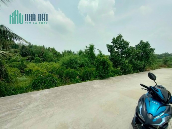 Bán lô đất Ấp Ái Ngãi, X. Phú Ngãi Trị, H.Châu Thành, Long An