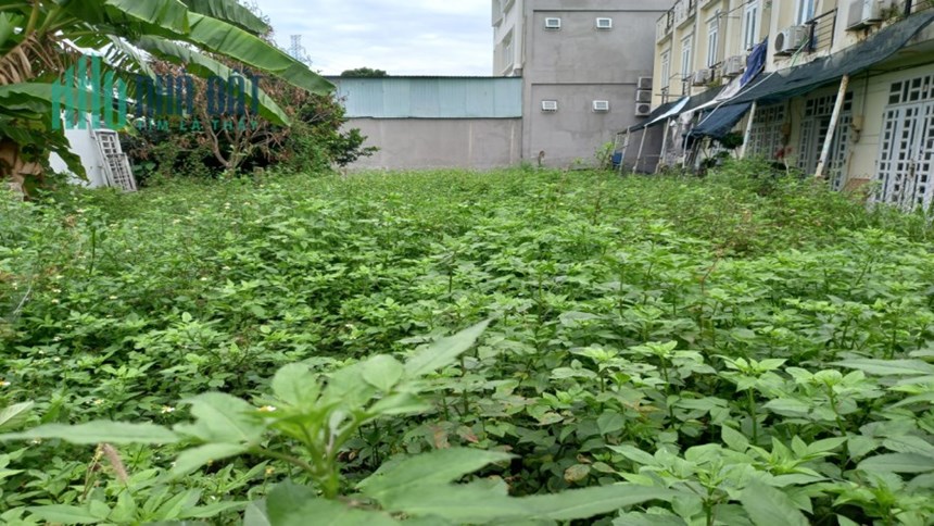 Bán đất vườn lài PHƯỜNG an phú đông Q.12, ngan lớn 7.5m, ĐƯỜNG 6m, giá giảm còn 7.4 tỷ