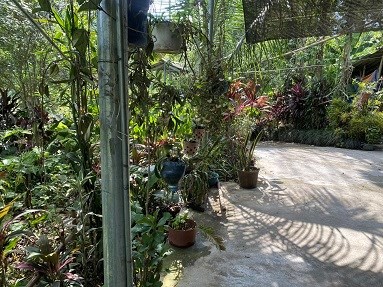 Hàng hót đất nằm trên trục quốc lộ 70 đoạn Lục Yên- Yên Bái.