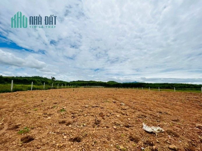 CẦN BÁN 2 LÔ DUY NHẤT TẠI DIÊN THỌ GIÁ ĐẦU TƯ