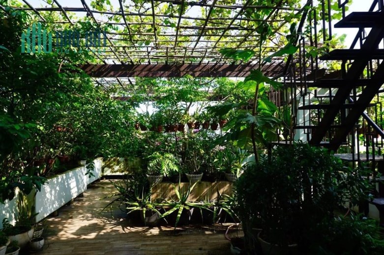 Định cư bán nhanh biệt thự 5 tầng có hồ bơi đường Nguyễn Trọng Tuyển ,p1 , Tân Bình ,giá tốt 