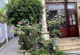 Chính Chủ Cần Bán Nhà Biệt Thự, Tp Hồ Chí Minh