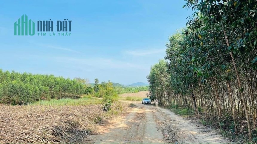 HẠ GIÁ BÁN NHANH LÔ ĐẤT KHÁNH NAM – KHÁNH VĨNH