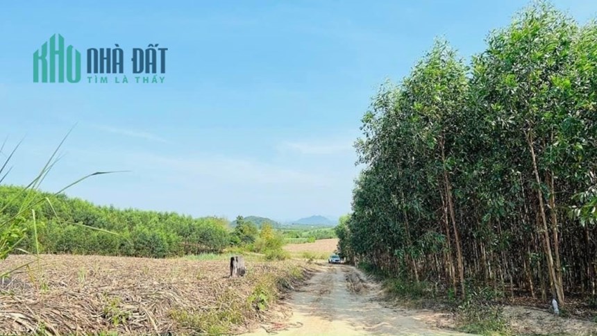HẠ GIÁ BÁN NHANH LÔ ĐẤT KHÁNH NAM – KHÁNH VĨNH