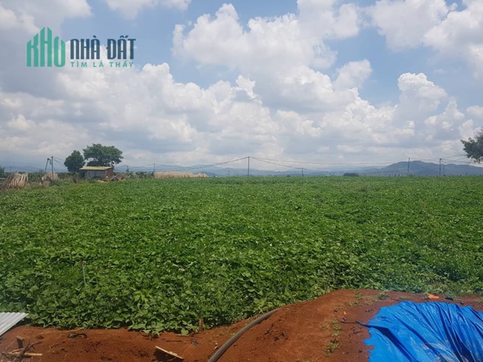 Bán lô đất 2 héc 4 thuộc n,thôn hạ đức trọng gần dh1 và dh2 620tr 1 sào