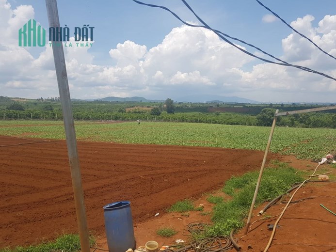 Bán lô đất 2 héc 4 thuộc n,thôn hạ đức trọng gần dh1 và dh2 620tr 1 sào