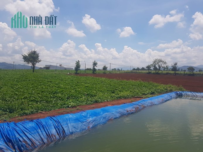 Bán lô đất 2 héc 4 thuộc n,thôn hạ đức trọng gần dh1 và dh2 620tr 1 sào