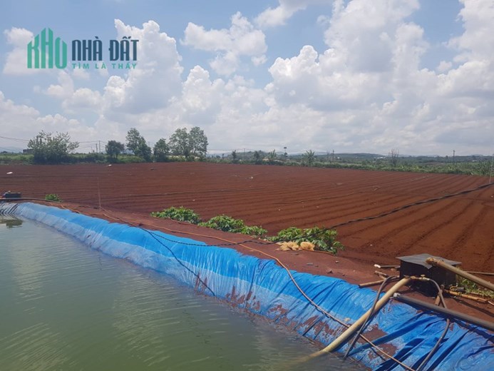 Bán lô đất 2 héc 4 thuộc n,thôn hạ đức trọng gần dh1 và dh2 620tr 1 sào