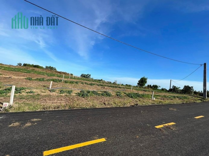 Cần bán đất sào láng dài, Đất Đỏ 13 x 68