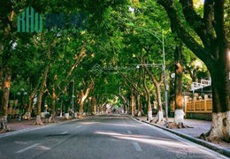 Bán nhà phố Phan Đình Phùng. 52m2, nhà đẹp, vị trí trung tâm phố cổ, hiếm nhà bán