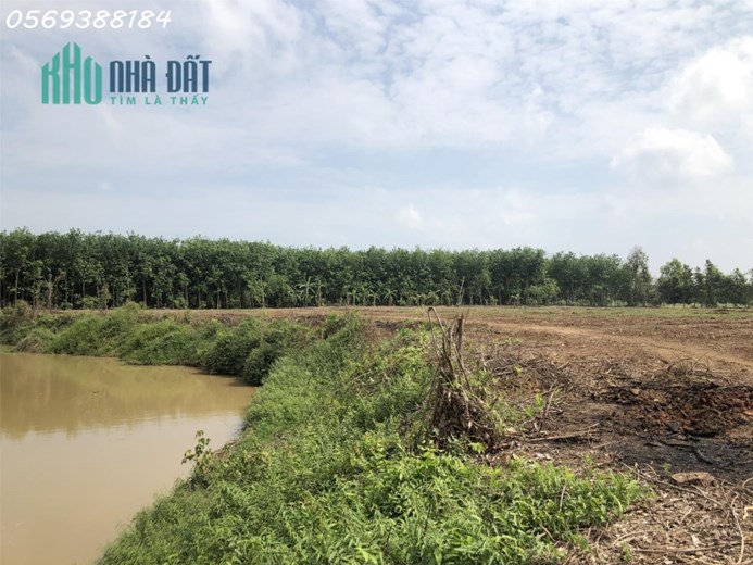 22m mặt tiền hậu 70m mà giá chỉ 360TR BĐS Châu Thành – Tây Ninh