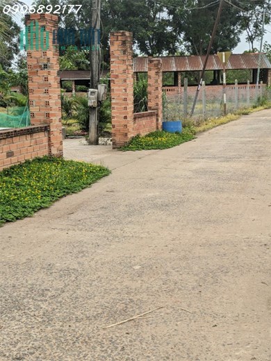 HẠ GIÁ LÔ ĐẤT 6251m2 trồng THANH LONG, SHR, GIÁ RẺ XUÂN HOÀ-XUÂN LỘC