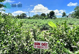 Sở Hữu Ngay Lô Đất Vị Trí Đắc Địa Tại Xã Chư Hreng, Thành Phố kon Tum, Tỉnh Kon Tum