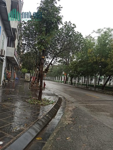 THANH LÝ ĐẤT TĐC THANH AM, THƯỢNG THANH, 85M, MT RỘNG, PHÂN LÔ BÀN CỜ, CHỈ HƠN 8 TỶ