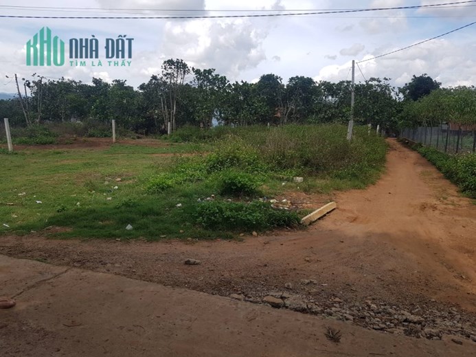 2 lô đất hẻm quốc lộ 20 vào 100m r chai 1 phú hội đức trọng 2,3 tỷ
