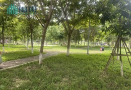 BÁN ĐẤT VƯỜN HOA TO NHẤT KHẢ LỄ- ĐÔNG NAM MÁT MẺ-  KHÔNG KHÍ TRONG LÀNH- SỔ ĐỎ THƠM PHỨC-  5 TỶx!