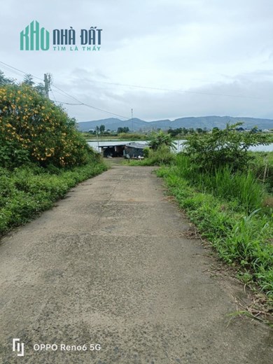 Cần Bán Lô Đất Đẹp Vị Trí Đắc Địa Tại Xã Phú Hội, Huyện Đức Trọng, Lâm Đồng