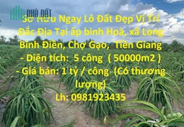 Sở Hữu Ngay Lô Đất Đẹp Vị Trí Đắc Địa Tại Huyện Chợ Gạo