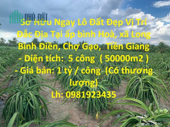 Sở Hữu Ngay Lô Đất Đẹp Vị Trí Đắc Địa Tại Huyện Chợ Gạo