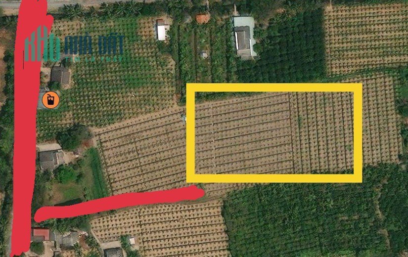 Sở Hữu Ngay Lô Đất Đẹp Vị Trí Đắc Địa Tại Huyện Chợ Gạo
