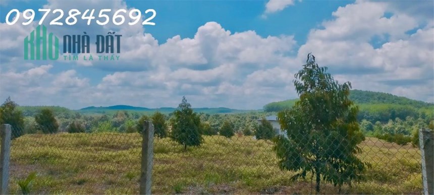 Gia đình không có thời gian chăm sóc cần sang nhượng lại miéng vườn 1000m2 giá 190tr