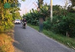 Bán 15 công ruộng, Thoại Giang, Thoại Sơn, AG