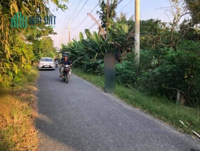 Bán 15 công ruộng, Thoại Giang, Thoại Sơn, AG