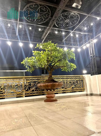 SIÊU PHẨM NGUYỄN VĂN CỪ- PHÂN LÔ BÀN CỜ- NGÕ THÔNG OTO TRÁNH- GARA 2 OTO 7C- THANG MÁY NHẬP KHẨU-
