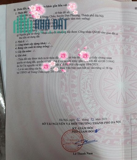 BÁN ĐẤT CHÍNH CHỦ CẦN BÁN TẠI XÃ TRUNG CHÂU B, ĐAN PHƯỢNG, HÀ NỘI